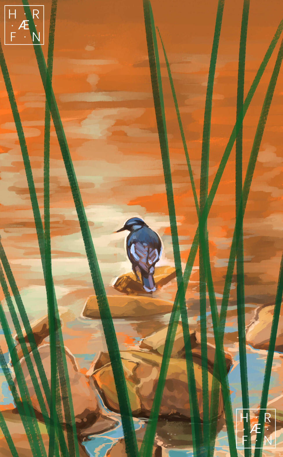 Between the Reeds (OC)