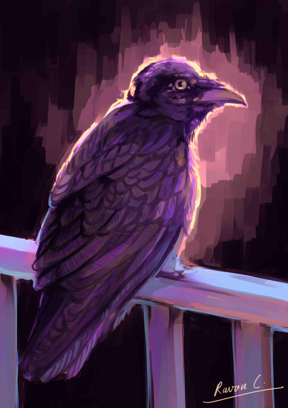 Raven (OC)