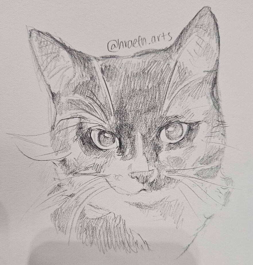 Sketch | $30
